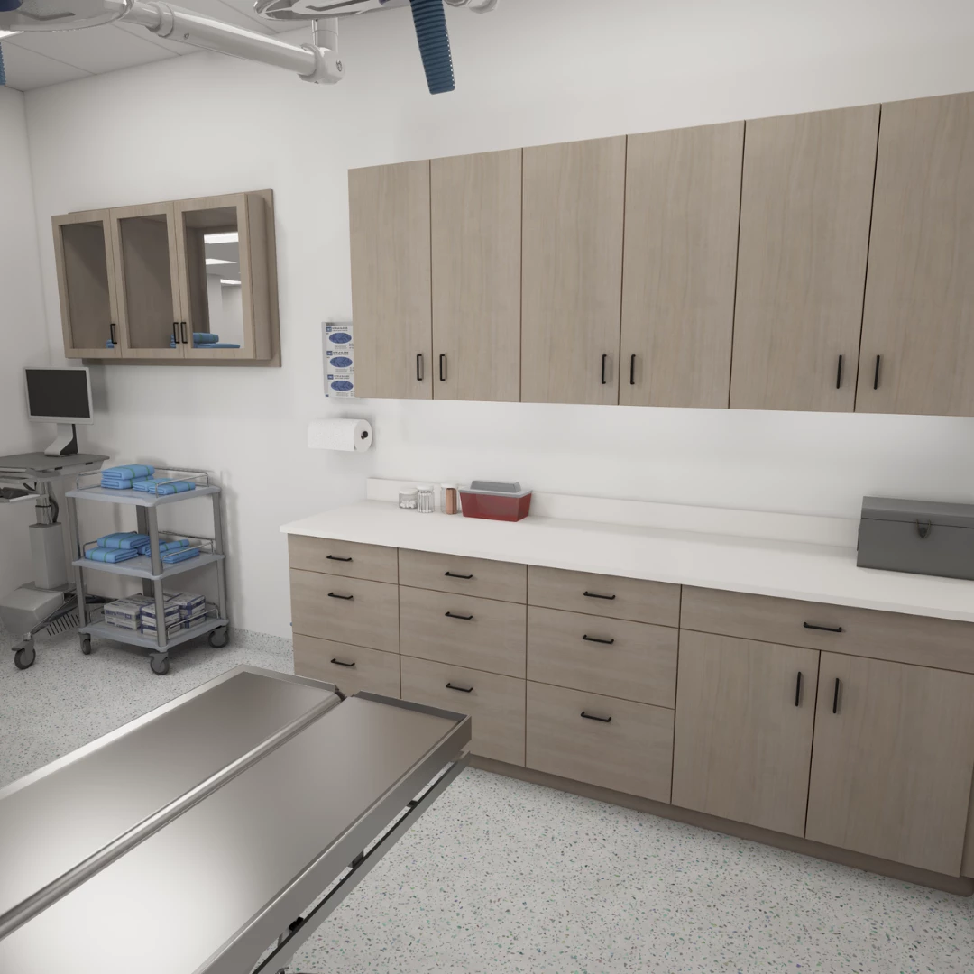 Kaemark Veterinary Render